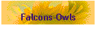 Falcons-Owls