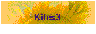 Kites3