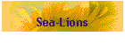 Sea-Lions