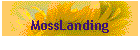 MossLanding