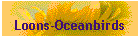 Loons-Oceanbirds